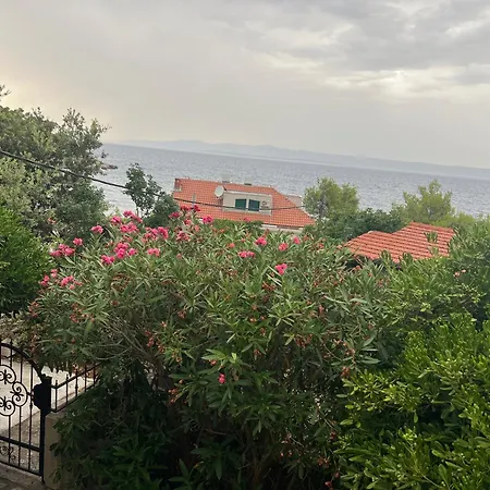 Direkt Am In Prigradica, Insel Korcula Apartmán Blato (Korcula)
